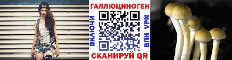 даркнет официальный сайт  Тогучин  Галлюциногенные грибы MAGIC MUSHROOMS 